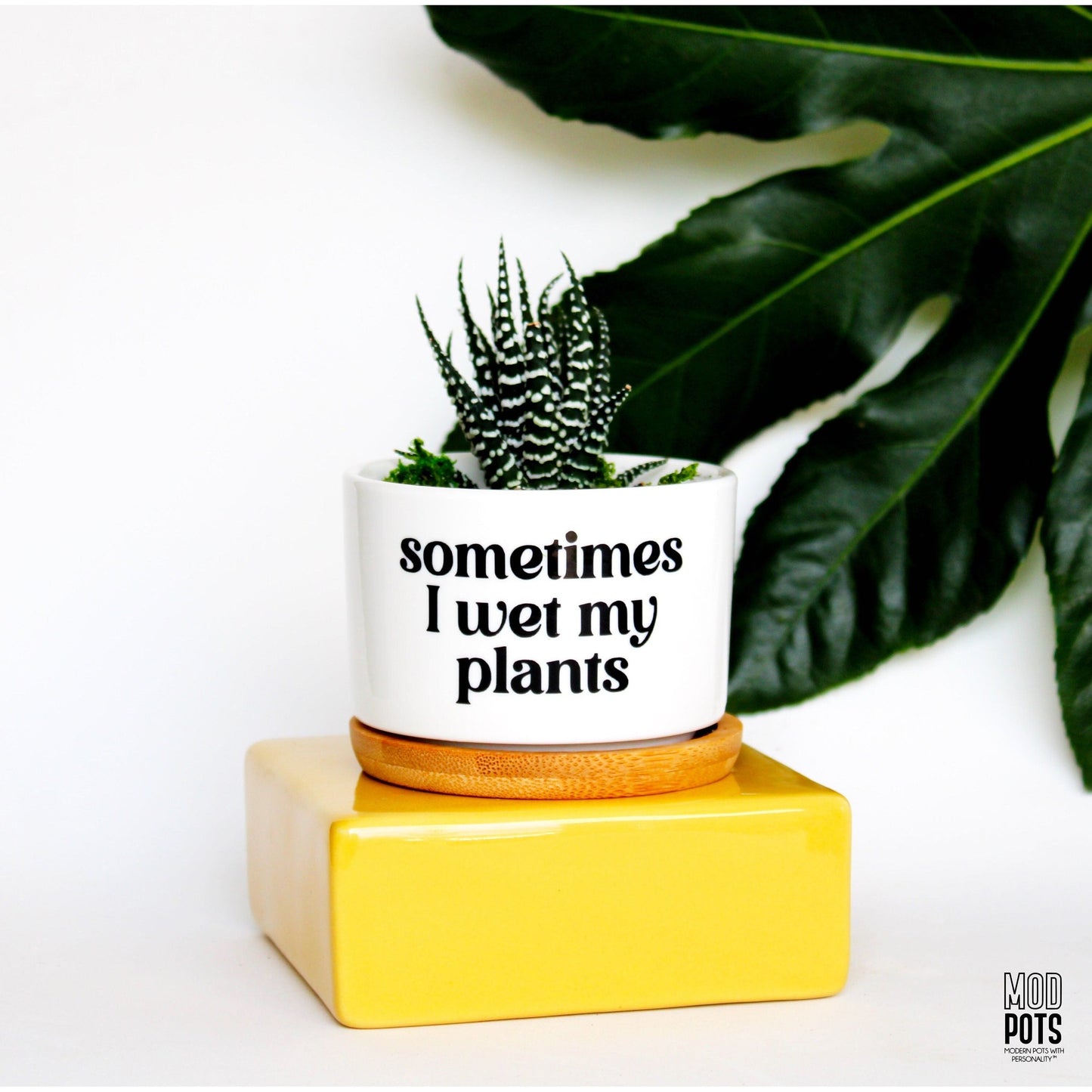 Sometimes I Wet My Plants (bubble font)