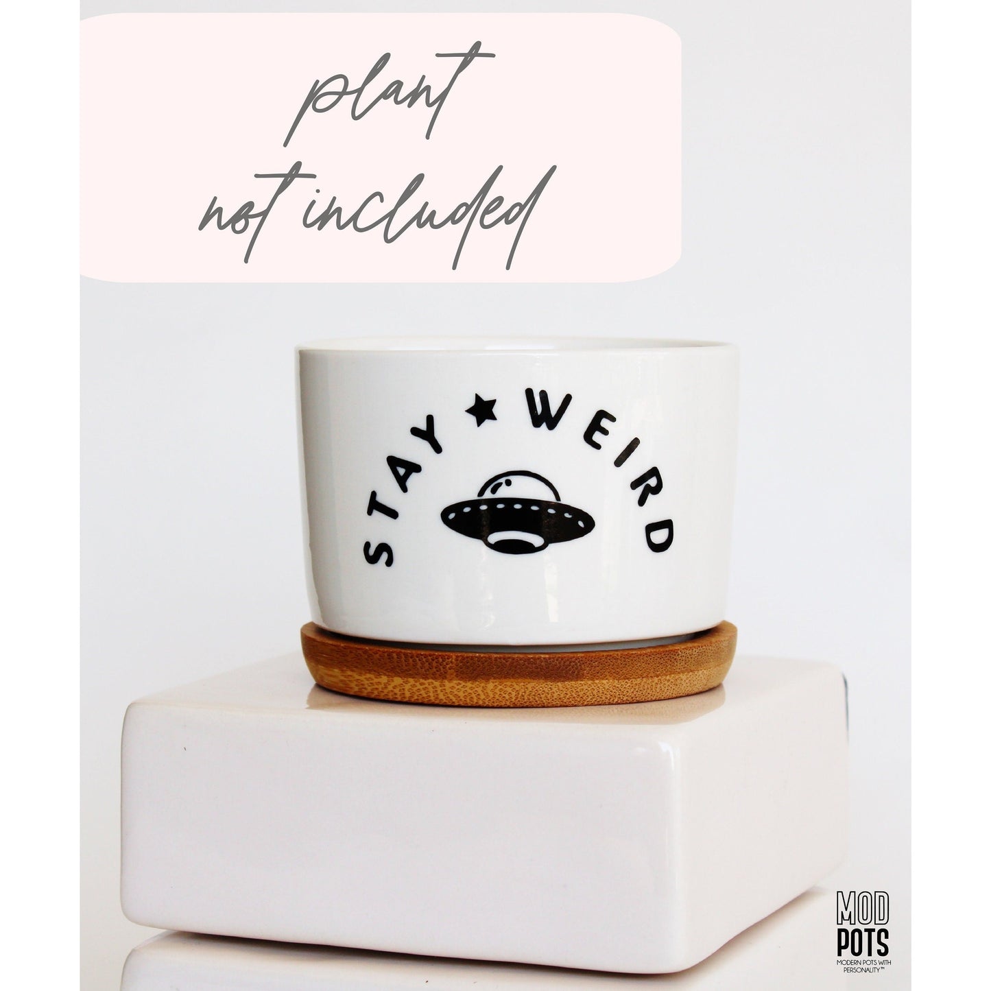 Stay Weird (spaceship)