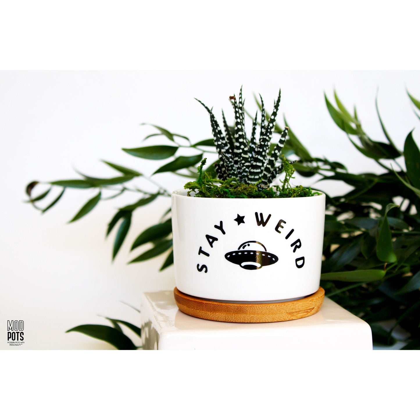 Stay Weird (spaceship)