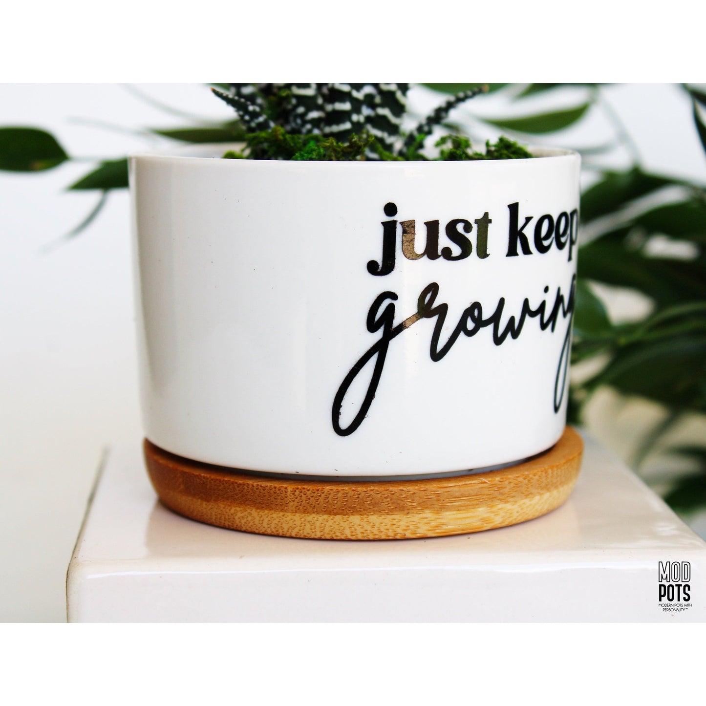 Just Keep Growing