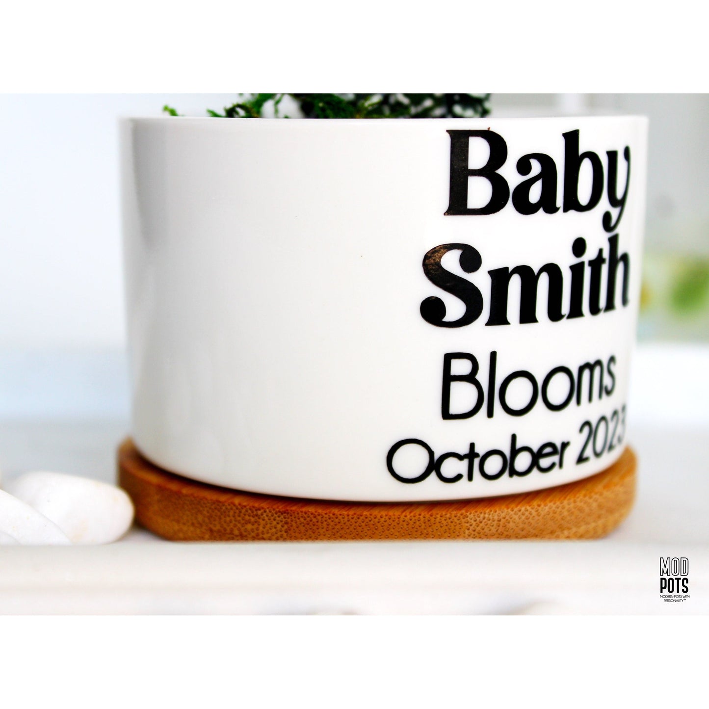 Baby (Name) Blooms, Month Year (personalizable)