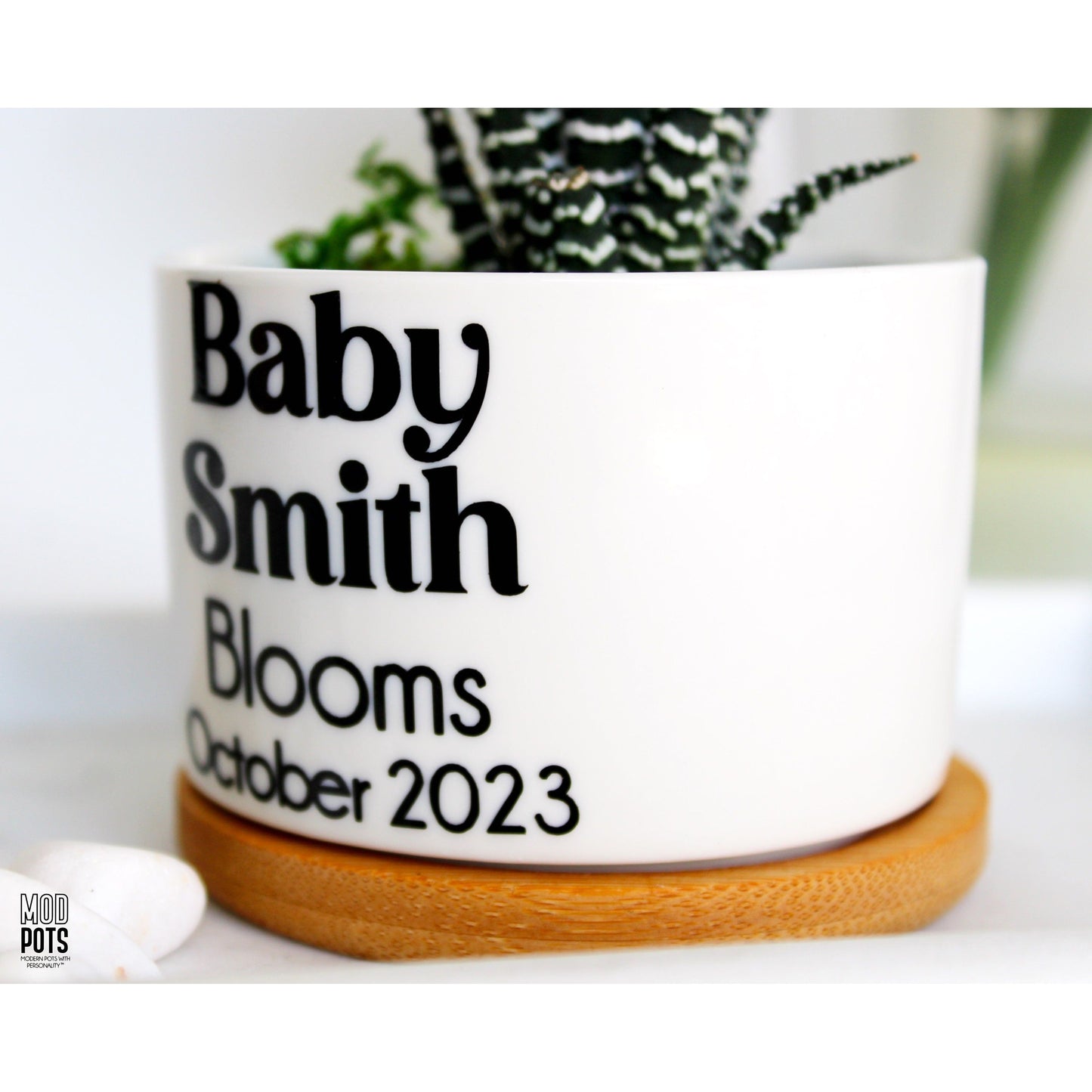 Baby (Name) Blooms, Month Year (personalizable)