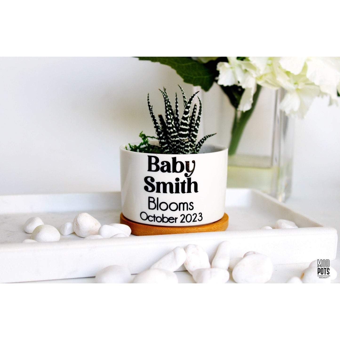 Baby (Name) Blooms, Month Year (personalizable)