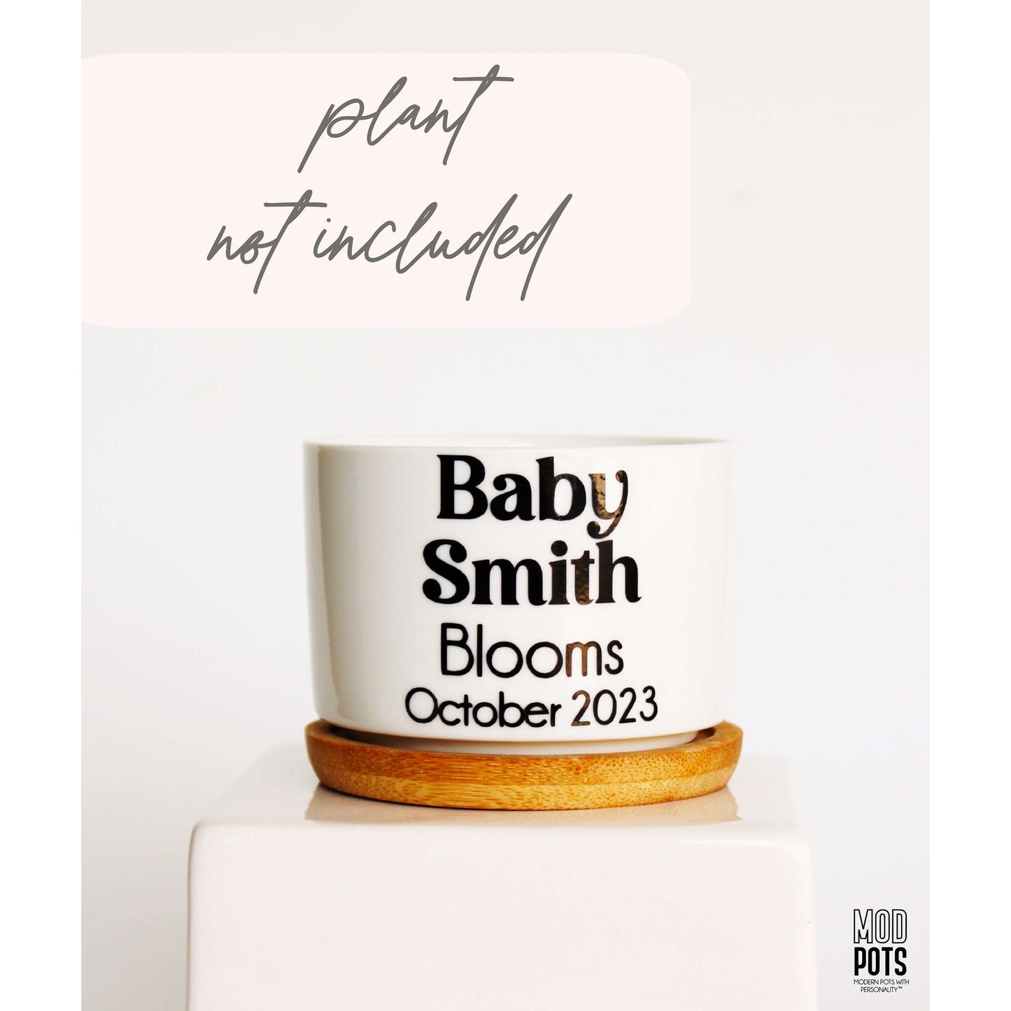Baby (Name) Blooms, Month Year (personalizable)