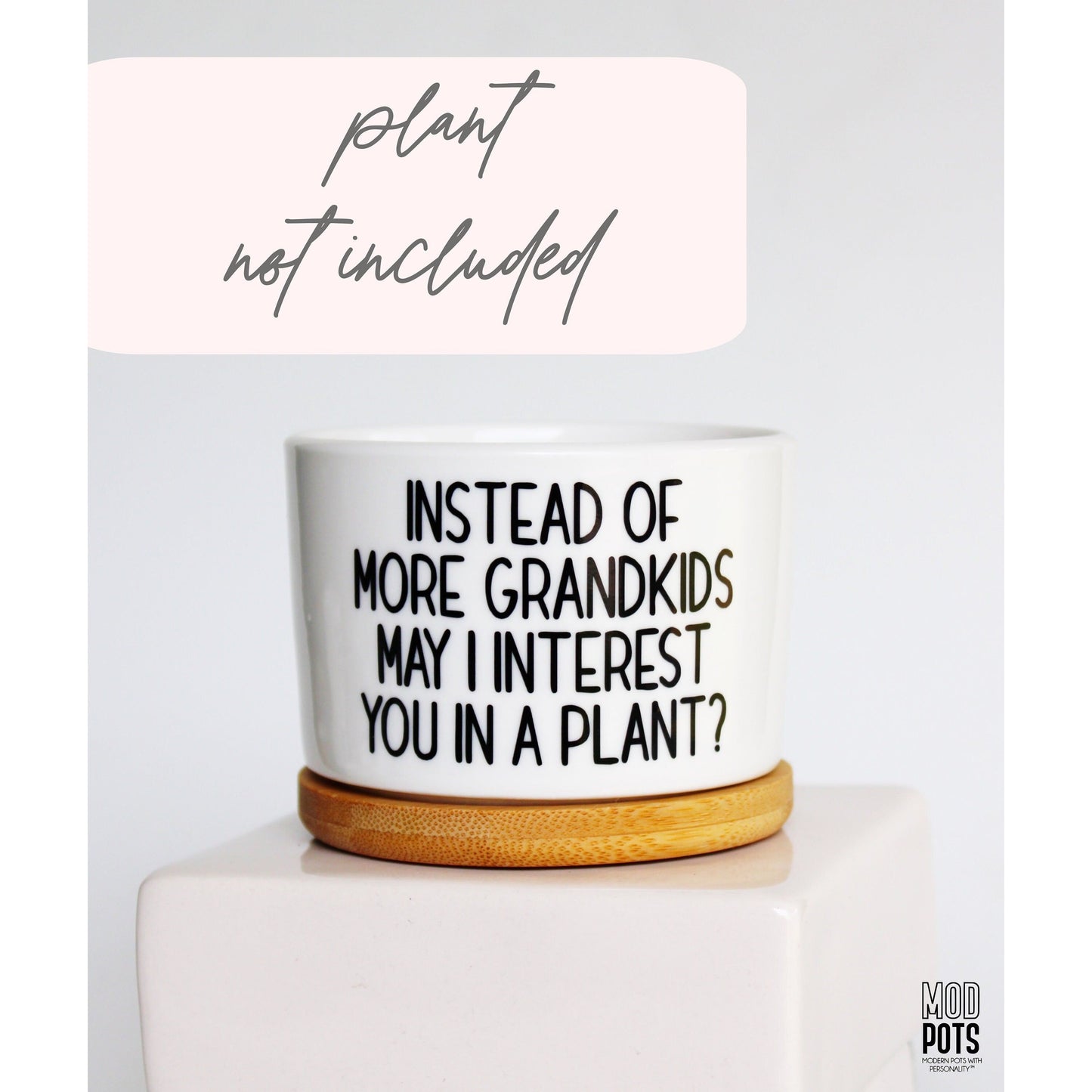 Instead of MORE Grandkids May I Interest You In a Plant?