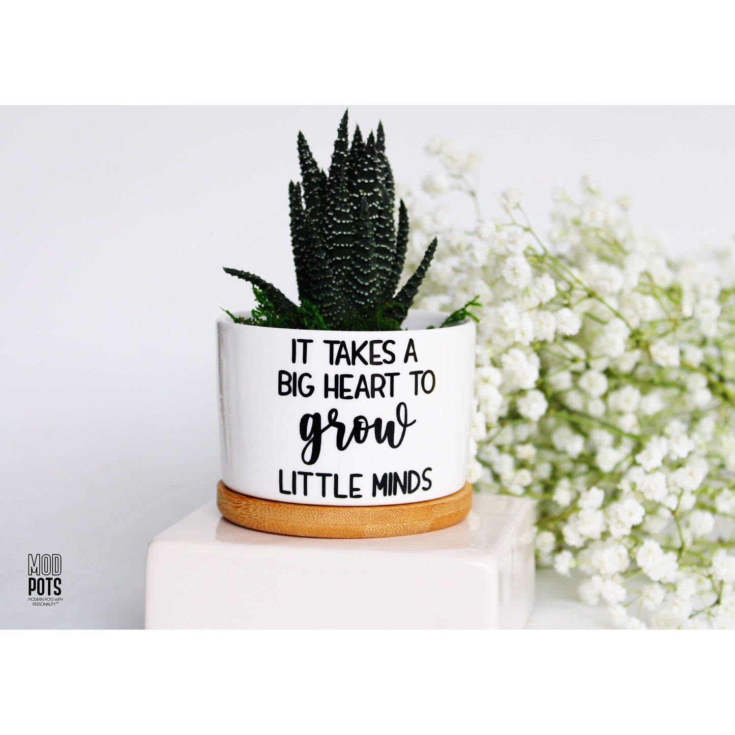 It Takes a Big Heart to Grow Little Minds