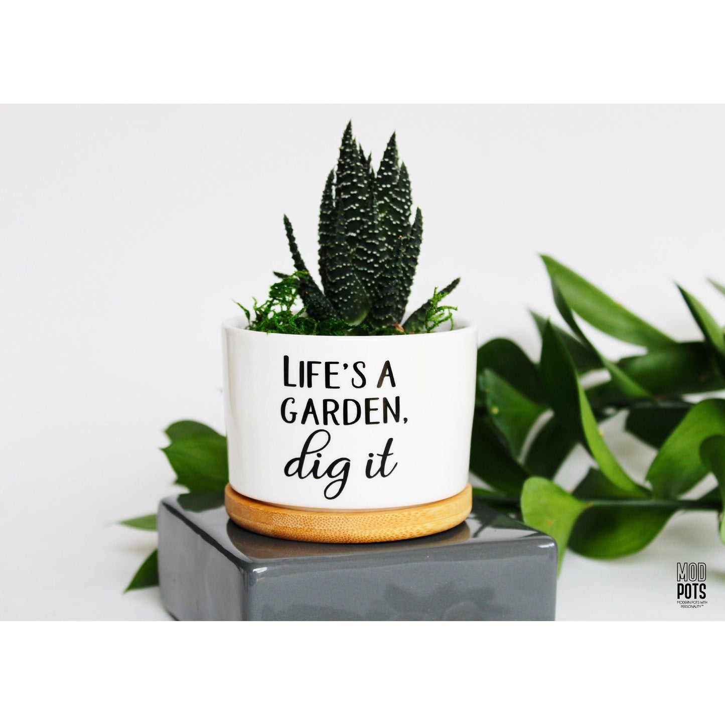 Life's a Garden, Dig It