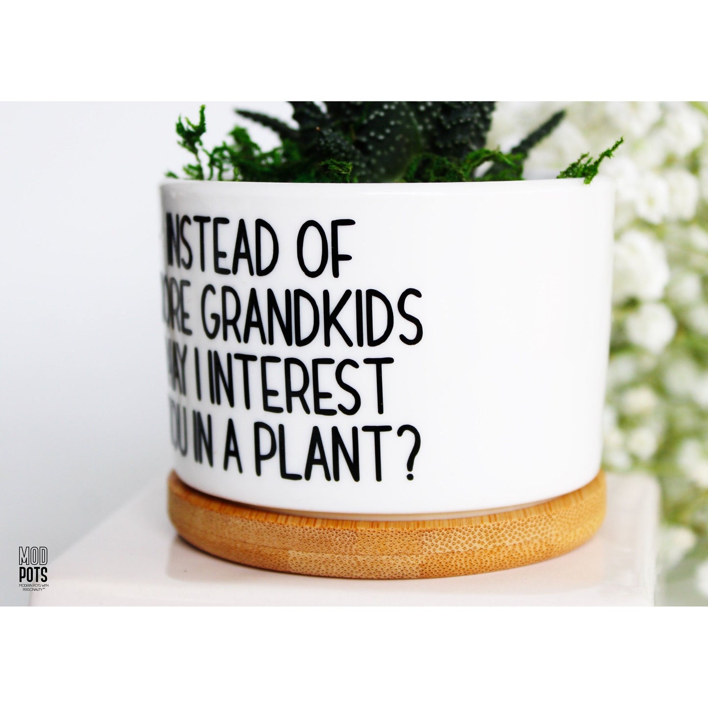 Instead of MORE Grandkids May I Interest You In a Plant?