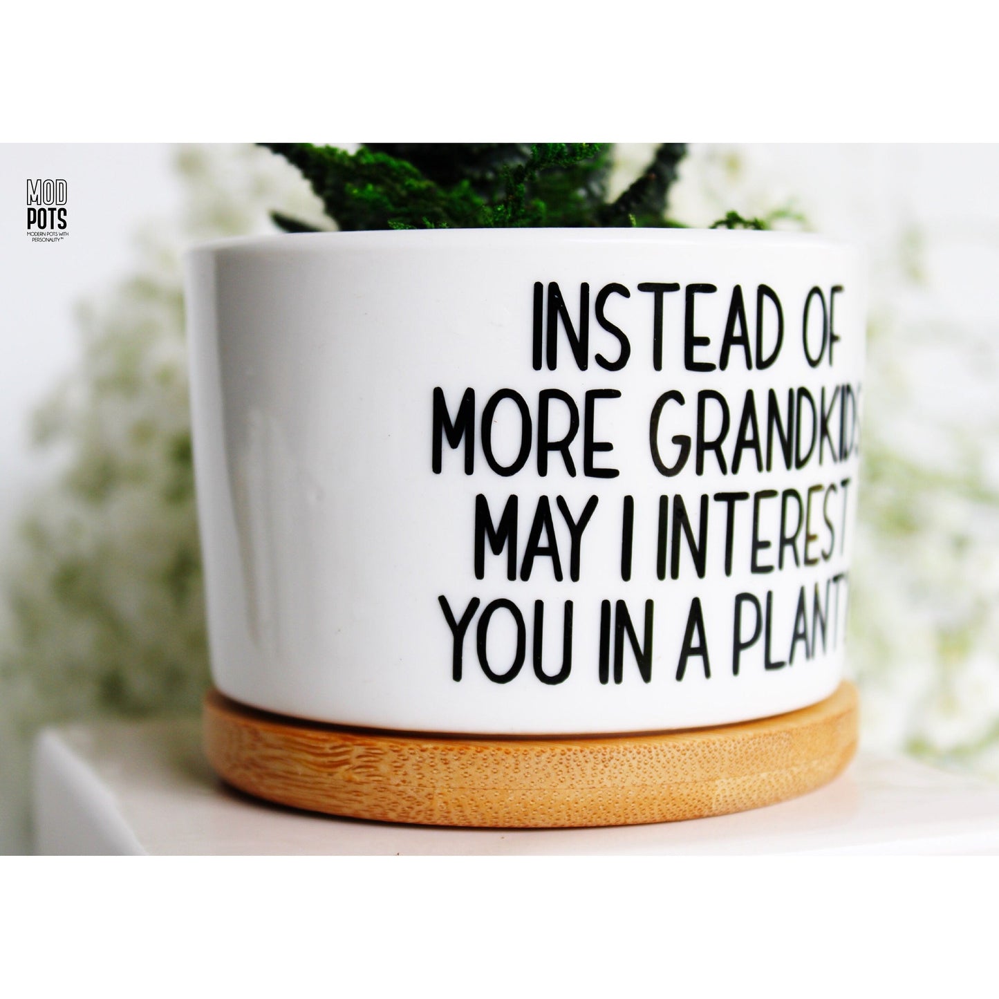 Instead of MORE Grandkids May I Interest You In a Plant?