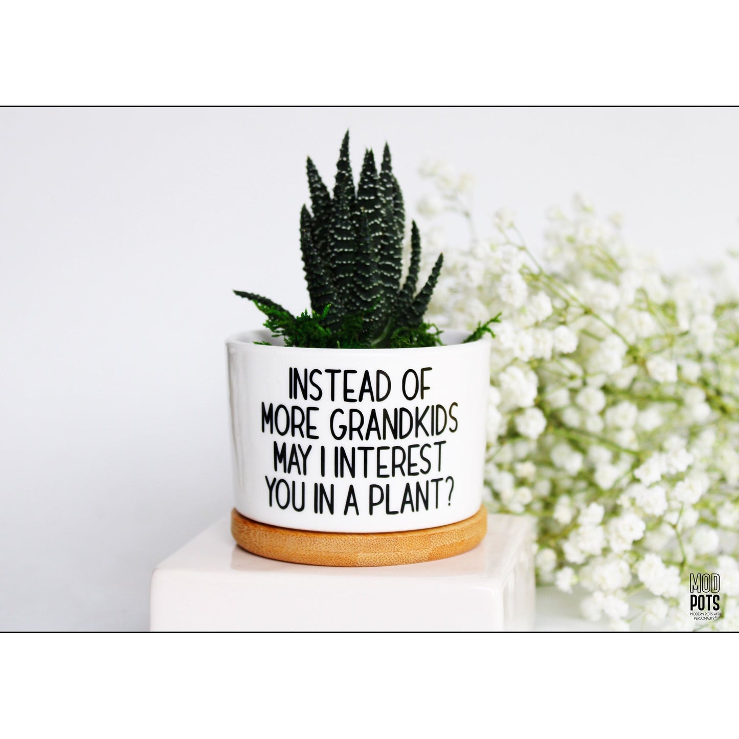 Instead of MORE Grandkids May I Interest You In a Plant?