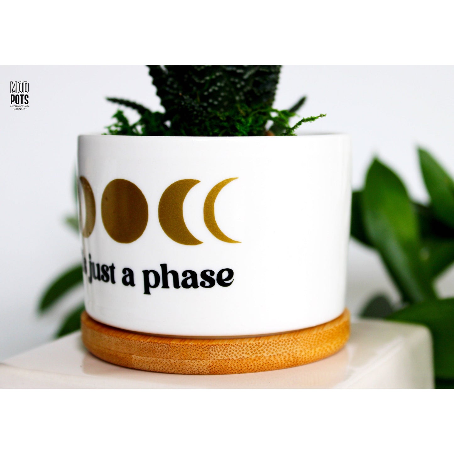 It's Just A Phase