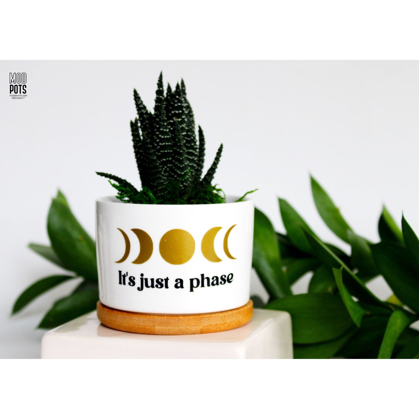 It's Just A Phase