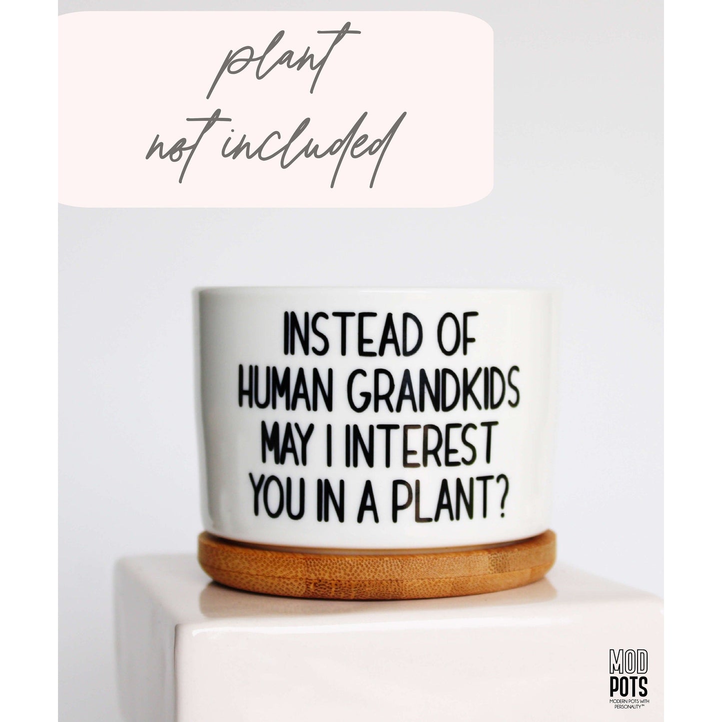 Instead of HUMAN Grandkids May I Interest You In a Plant?