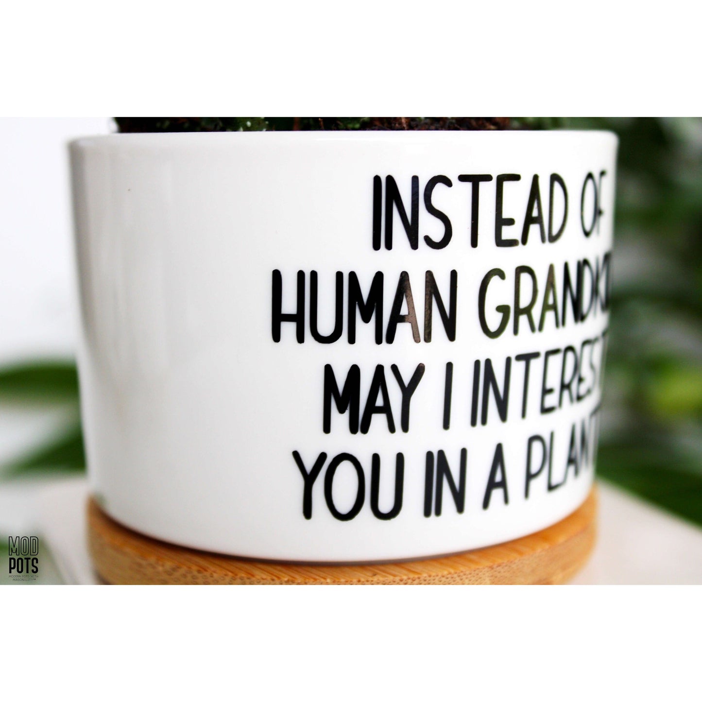 Instead of HUMAN Grandkids May I Interest You In a Plant?