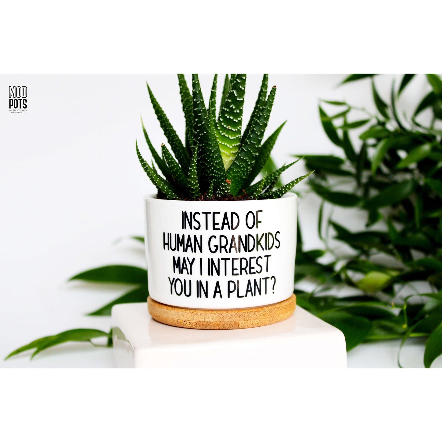Instead of HUMAN Grandkids May I Interest You In a Plant?