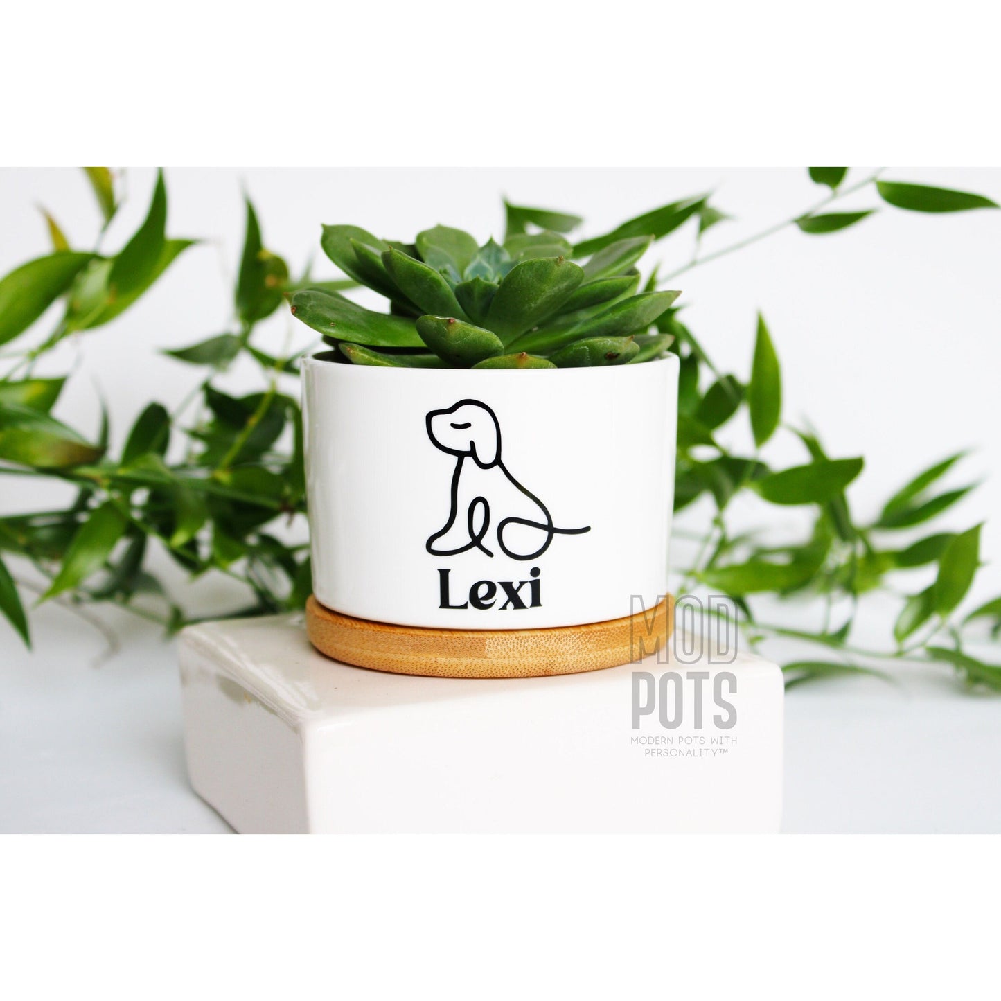 Simple Dog Drawing with Dog's Name