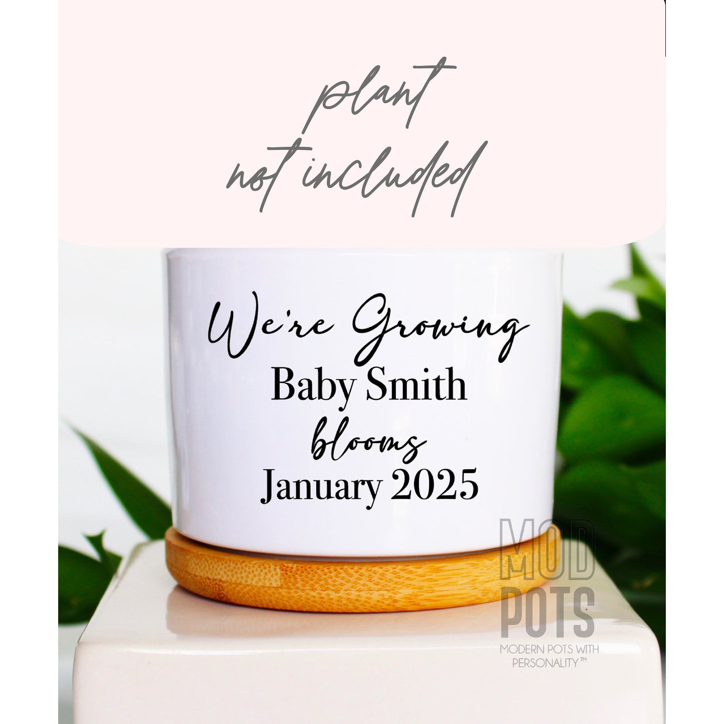 We're Growing Baby Smith Blooms Month/Year (personalizable)