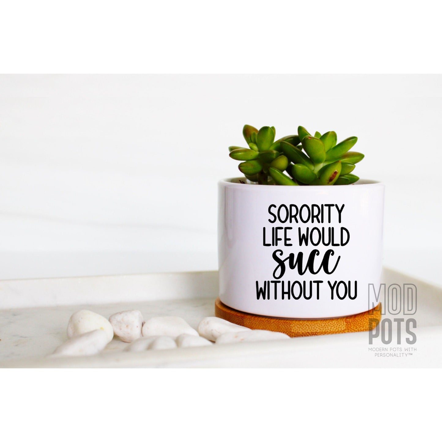 Sorority Life Would Succ Without You