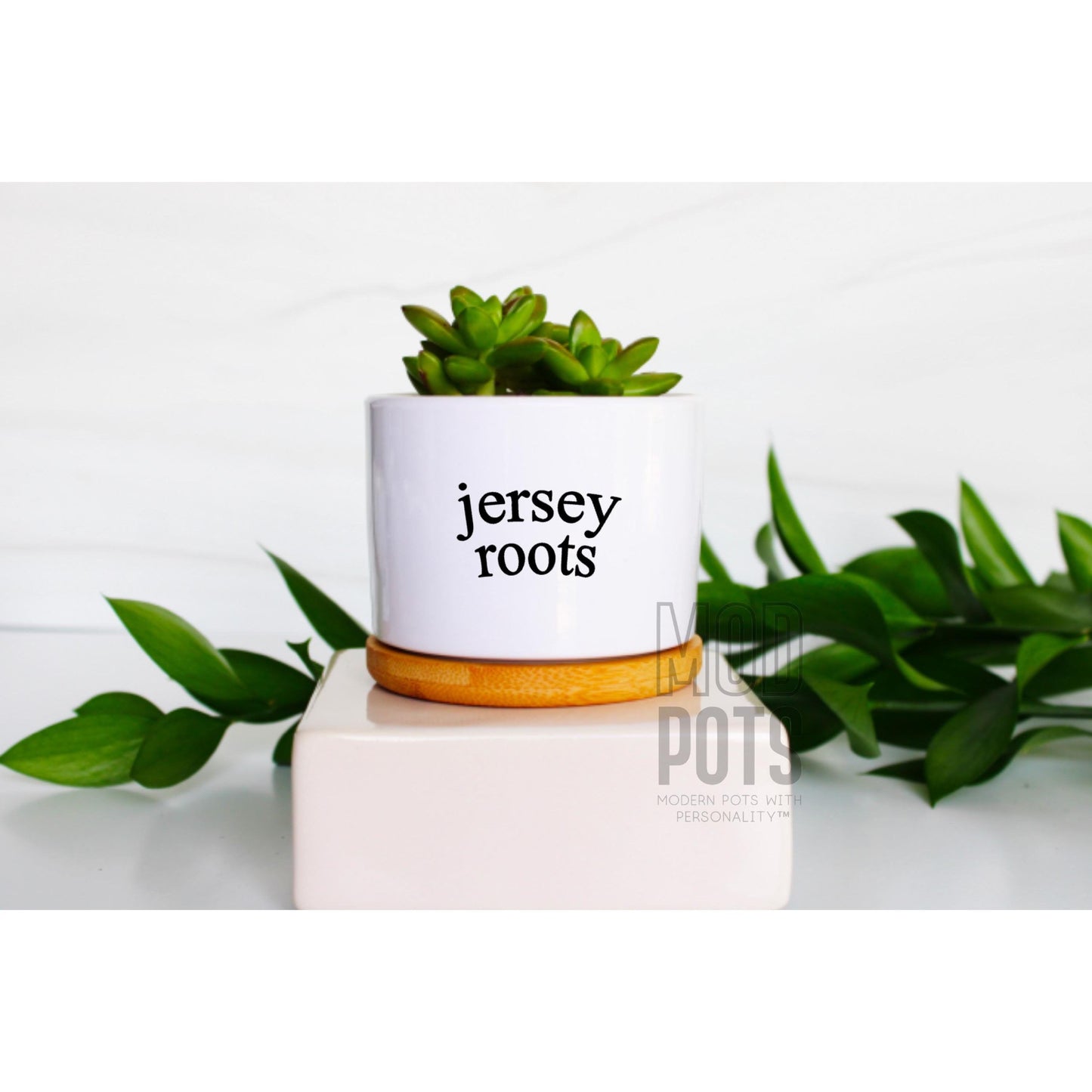 Jersey Roots
