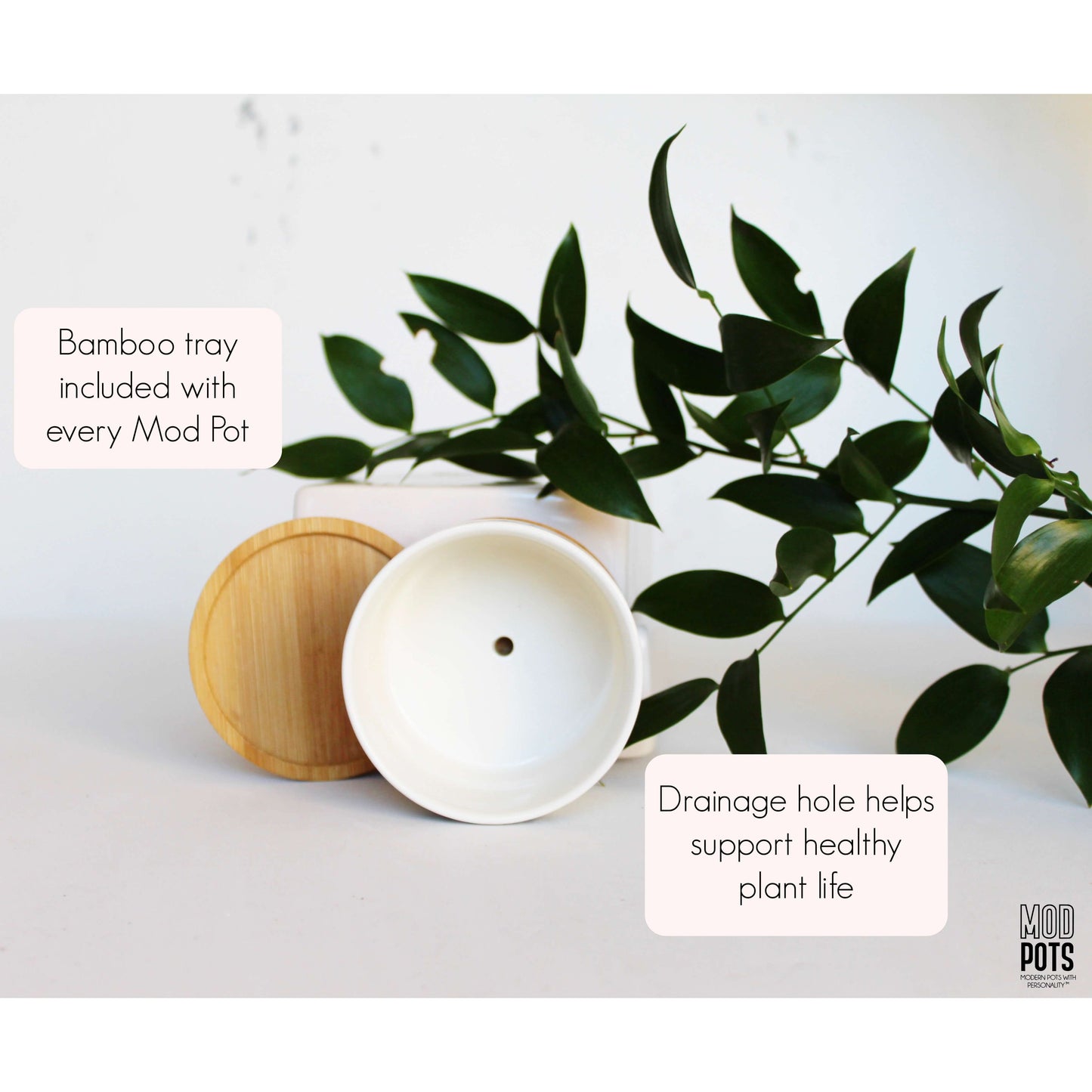 I Invite Gratitude Into My Heart - Special Edition Tall Mod Pot