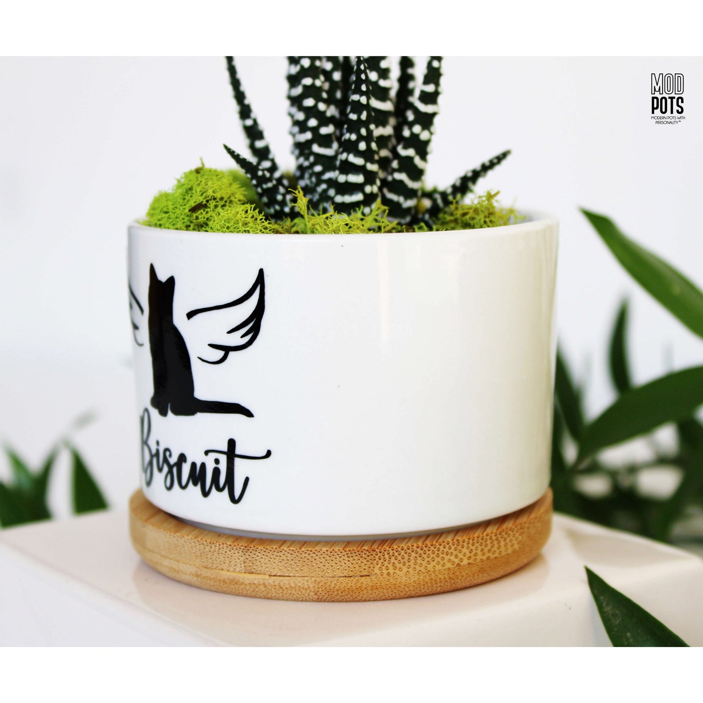 Cat with Angel Wings Personalized with Your Pet's Name