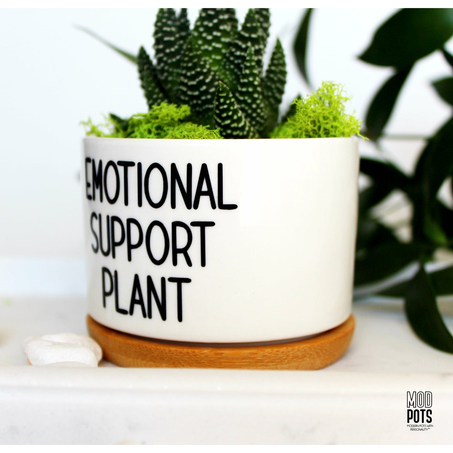 Emotional Support Plant