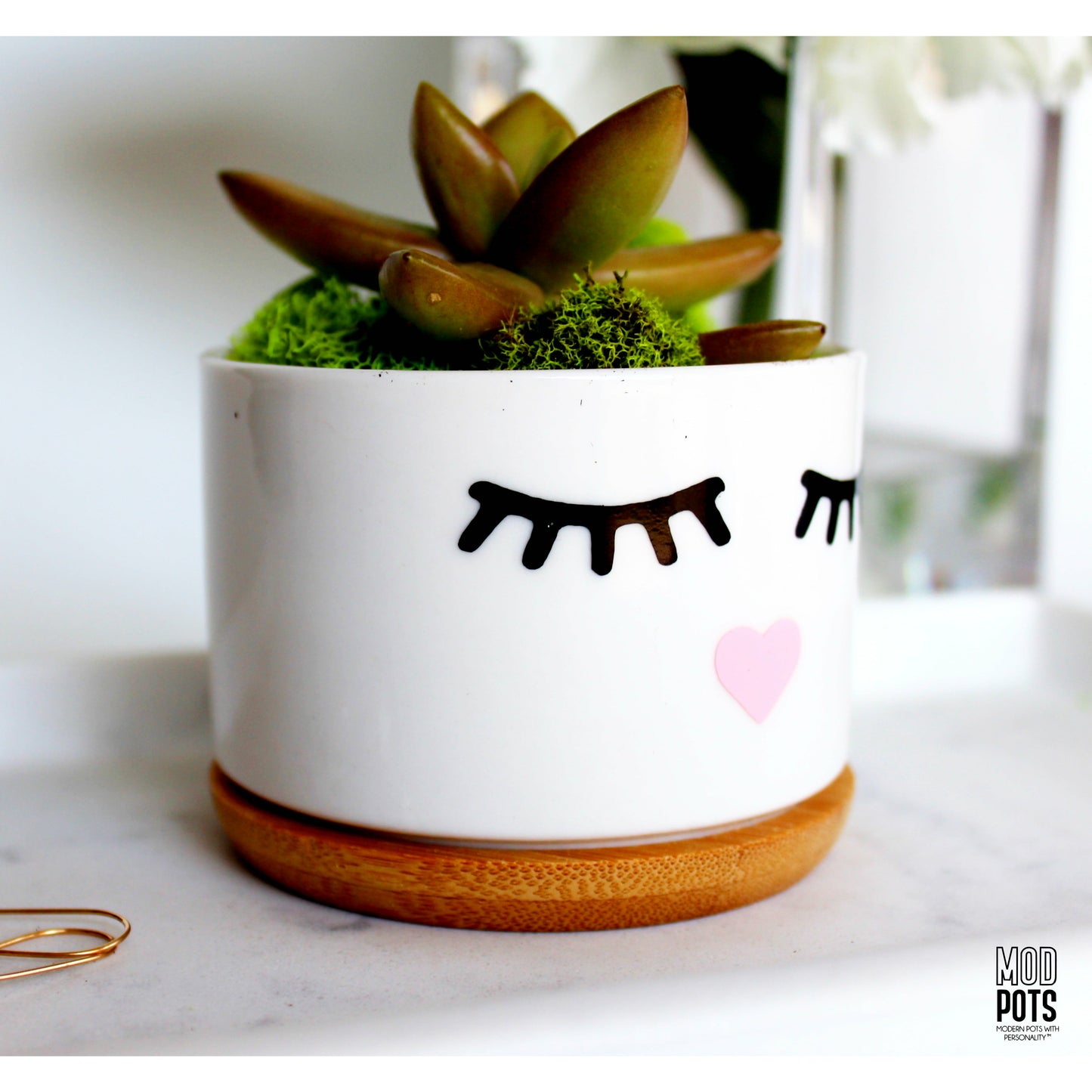 Eyelashes Pot