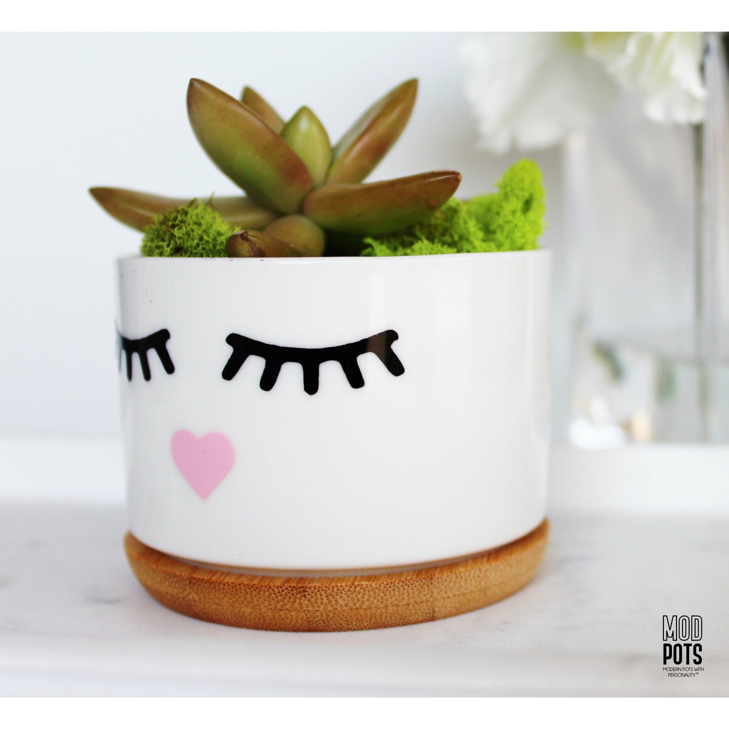 Eyelashes Pot