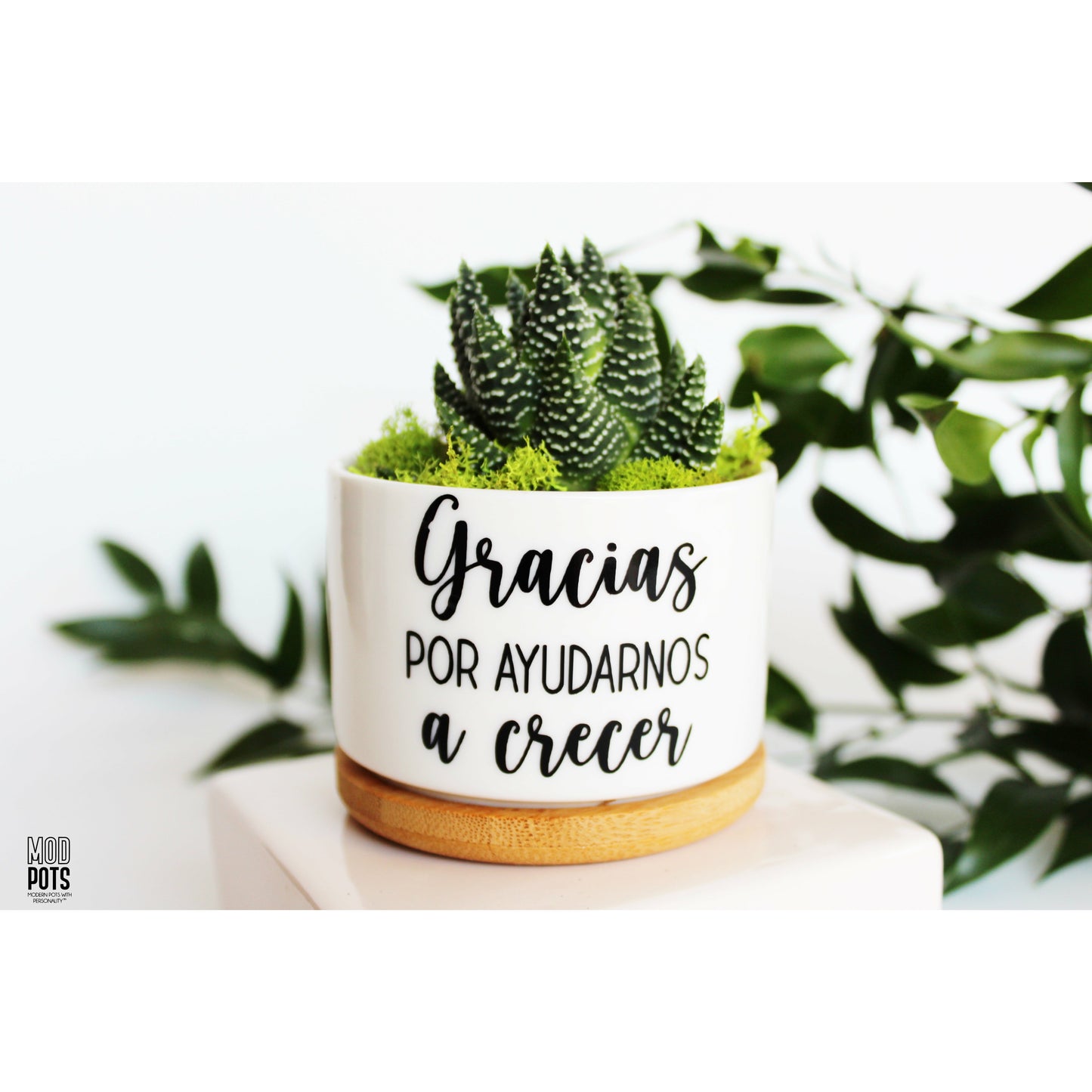 Gracias Por Ayudarnos A Crecer