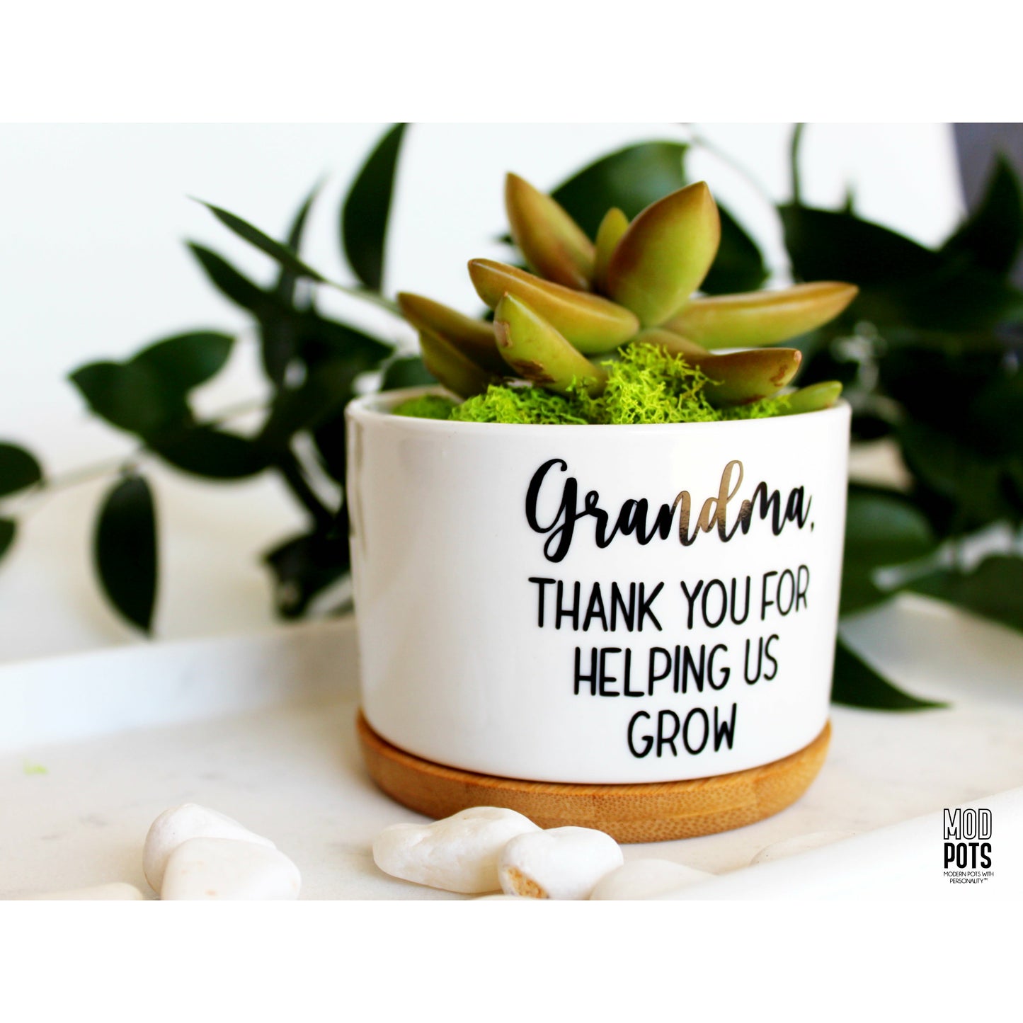 Grandma, Thank You for Helping Us Grow