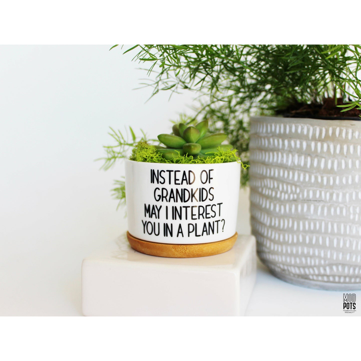 Instead of Grandkids May I Interest You in a Plant