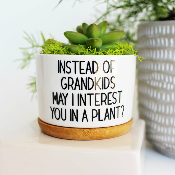 Instead of Grandkids May I Interest You in a Plant
