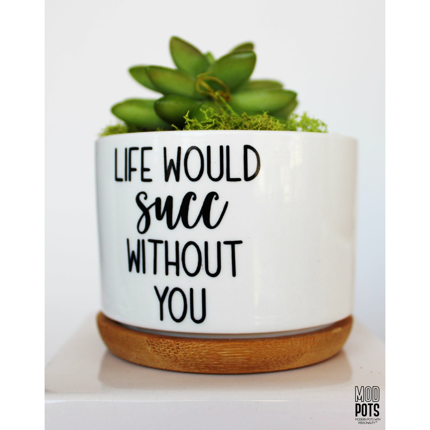 Life Would Succ Without You (Mixed Fonts)