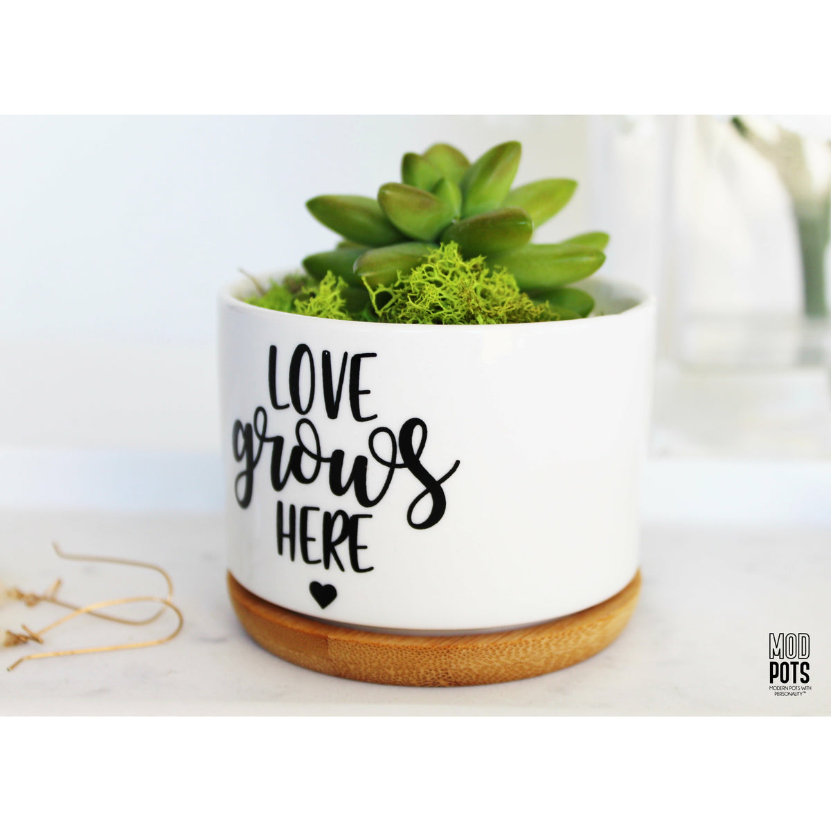 Love Grows Here - Small Canvas Planter – Sugarboo & Co