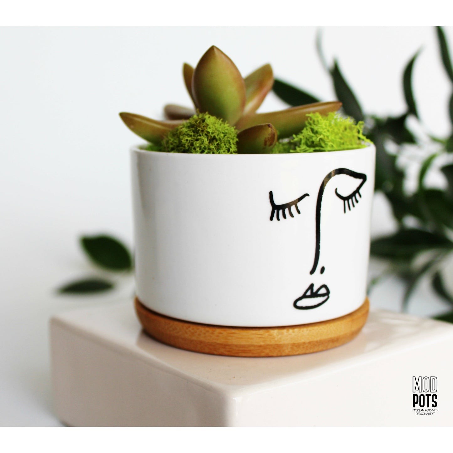 Picasso Pot