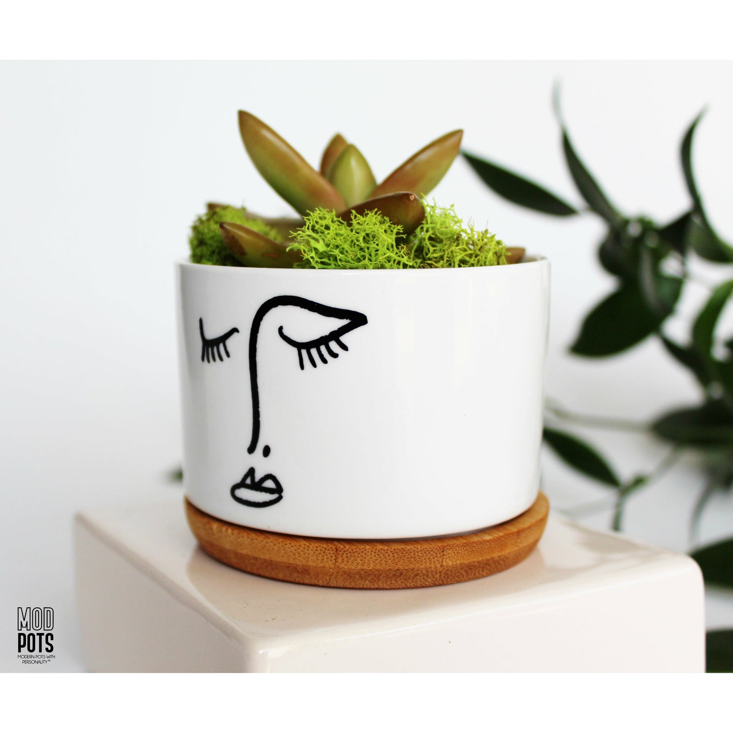 Picasso Pot