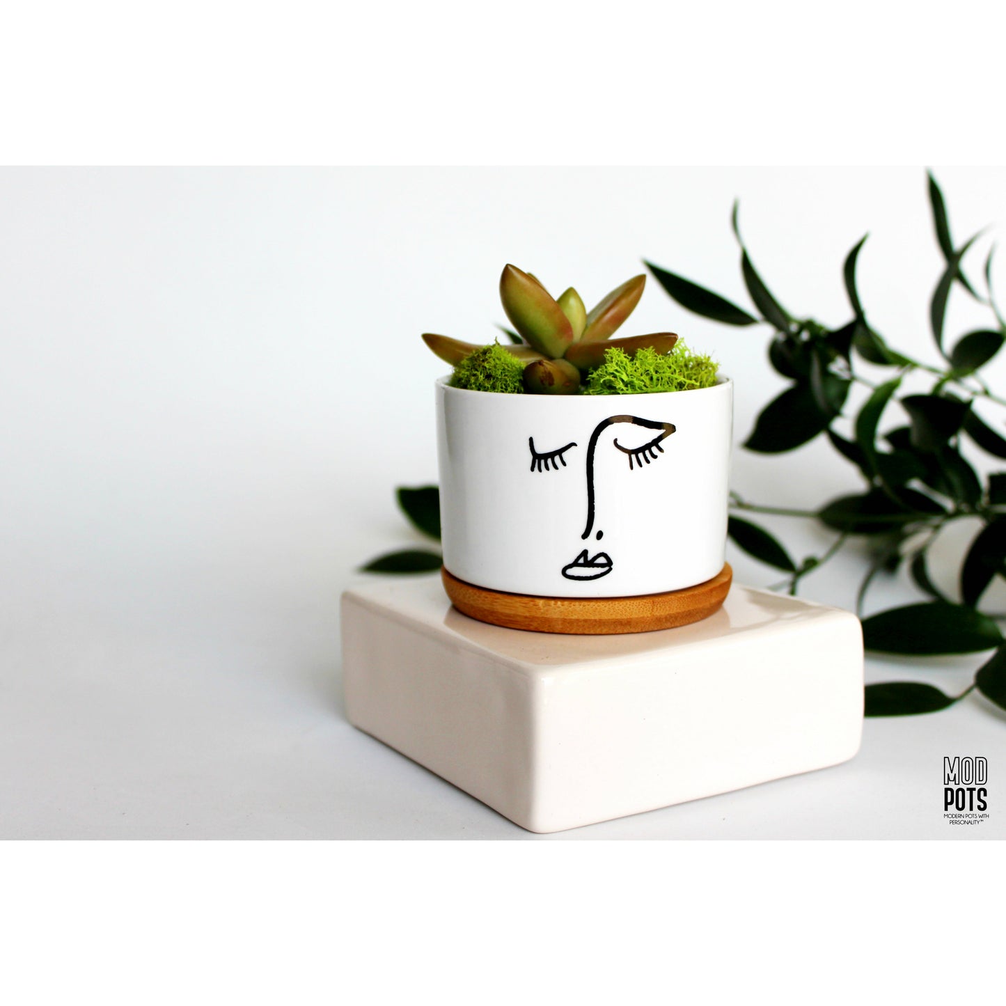 Picasso Pot