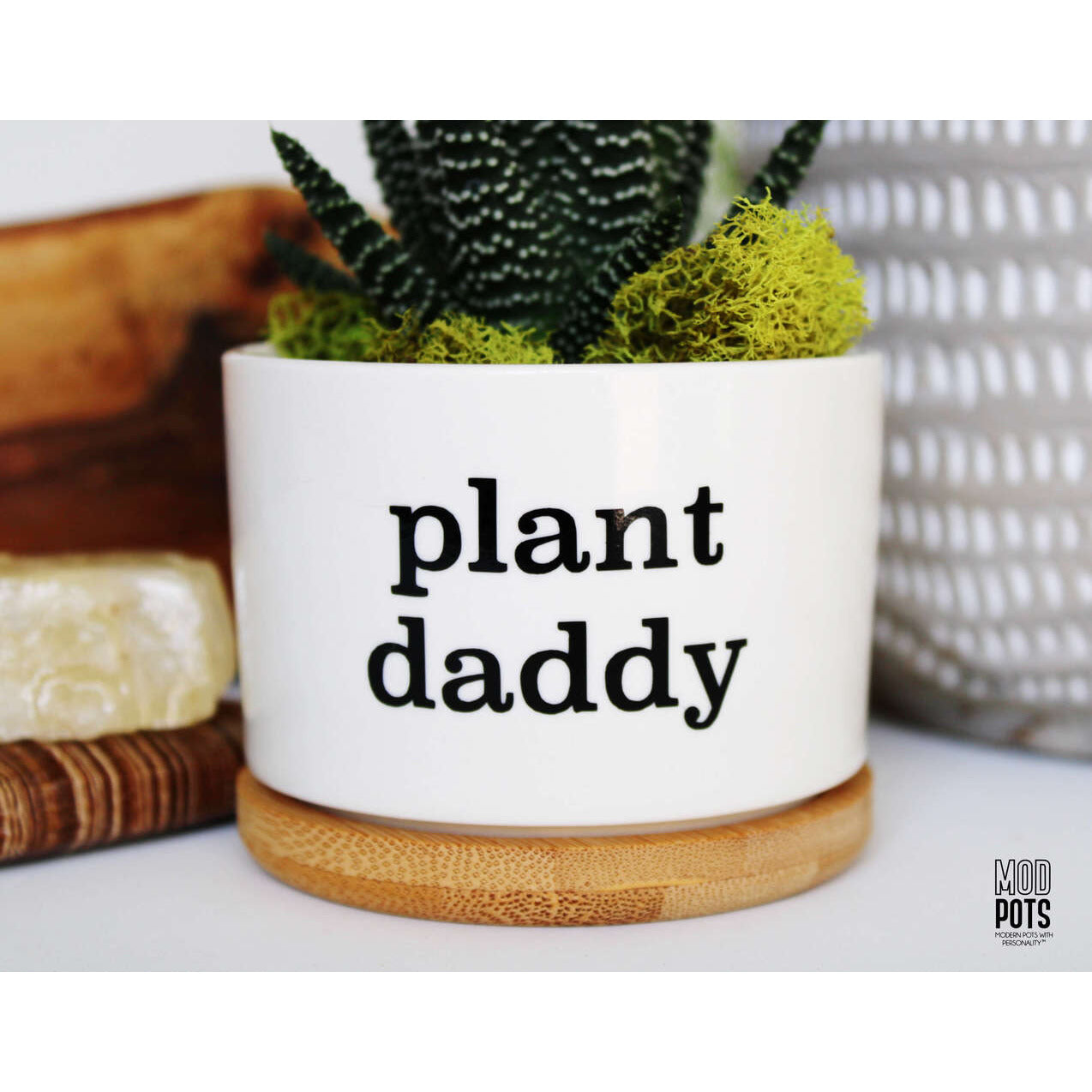 Plant Daddy