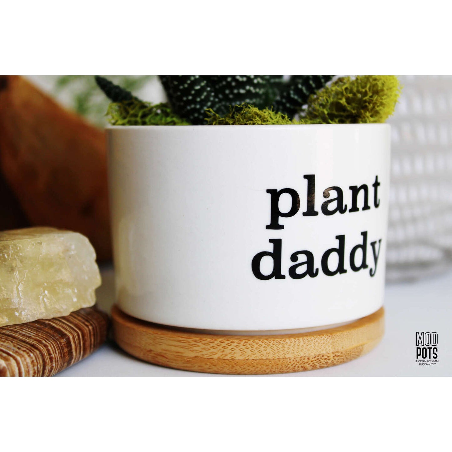Plant Daddy
