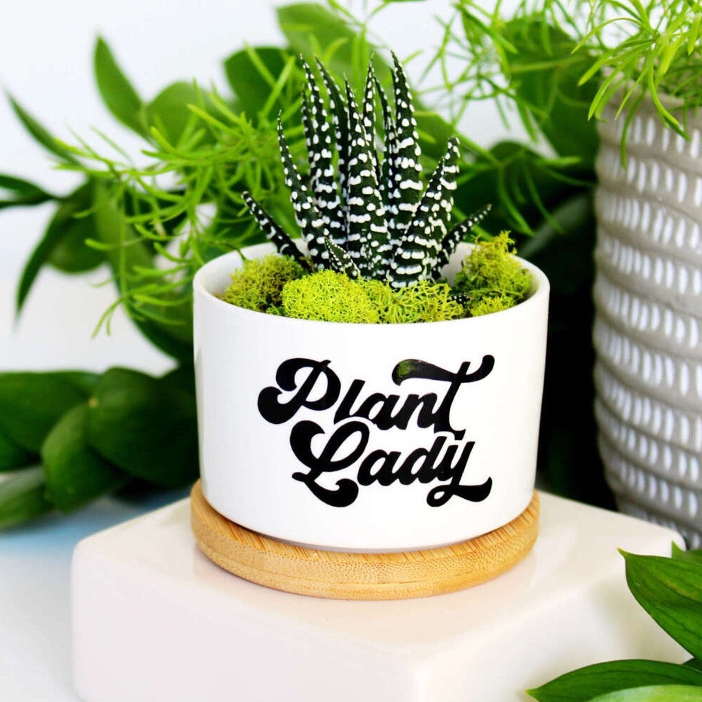 mod pots and plants Plant Lady