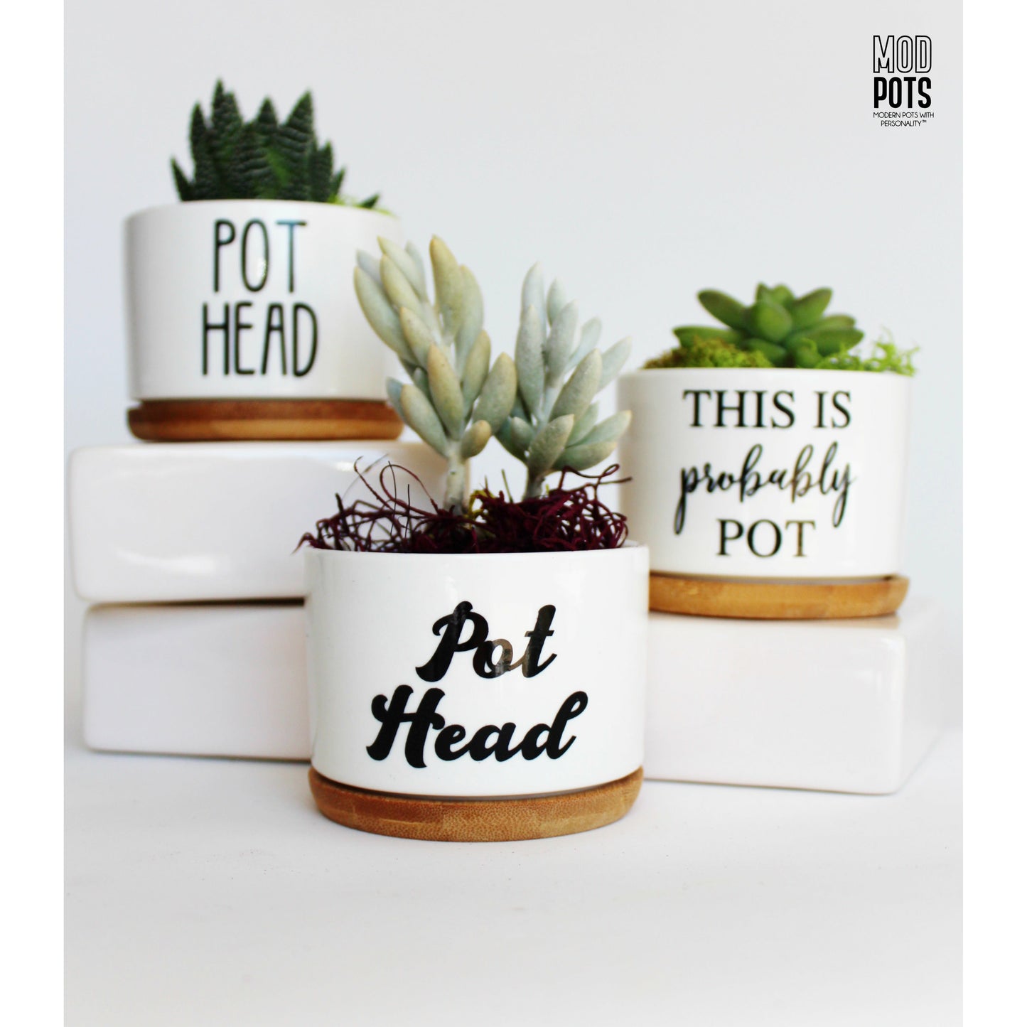 Pot Head (groovy font)