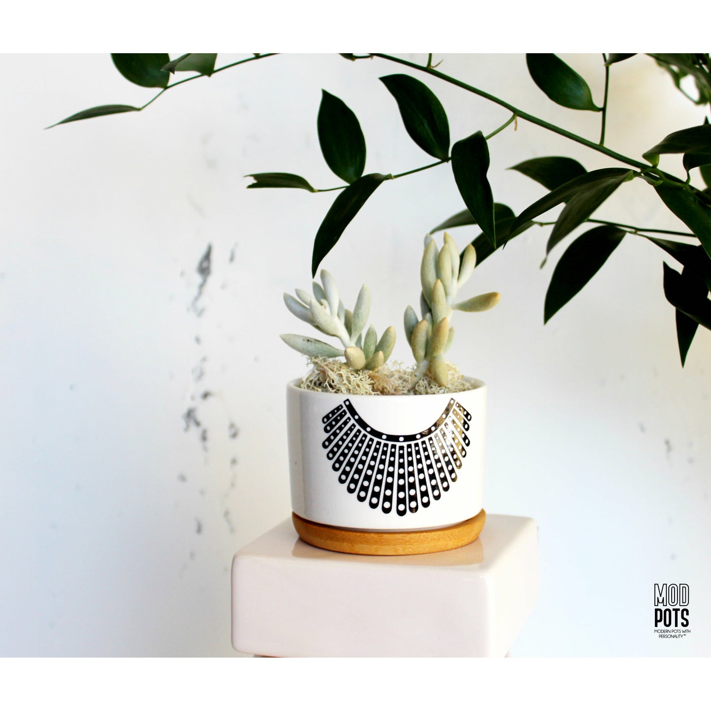 RBG Pot