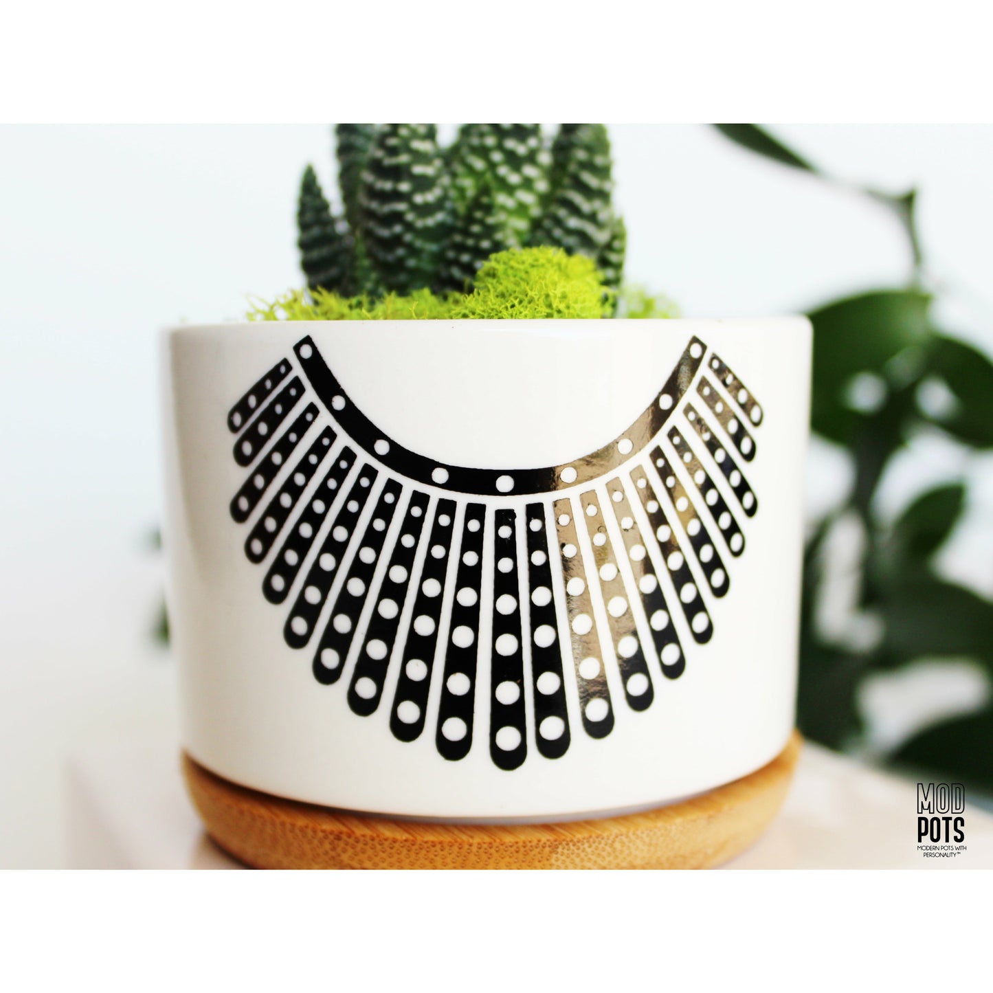 RBG Pot