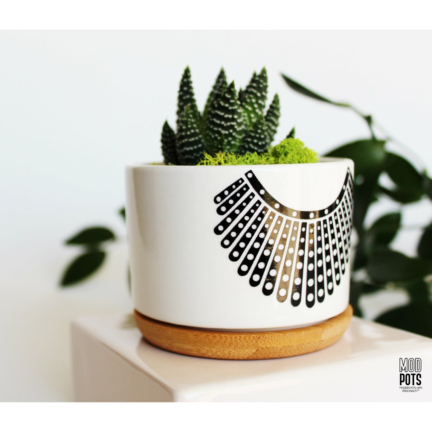RBG Pot