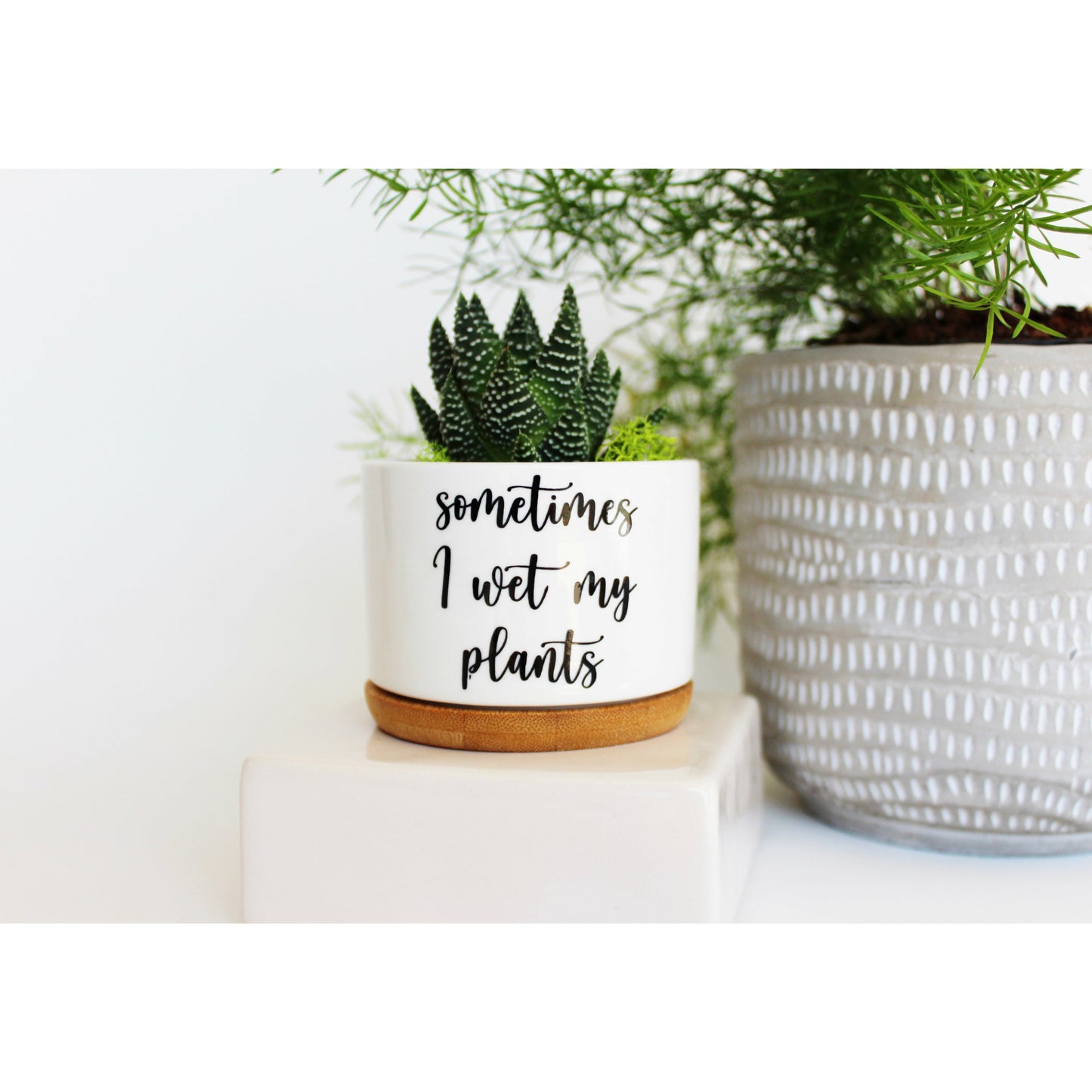 Sometimes I Wet My Plants (cursive font)