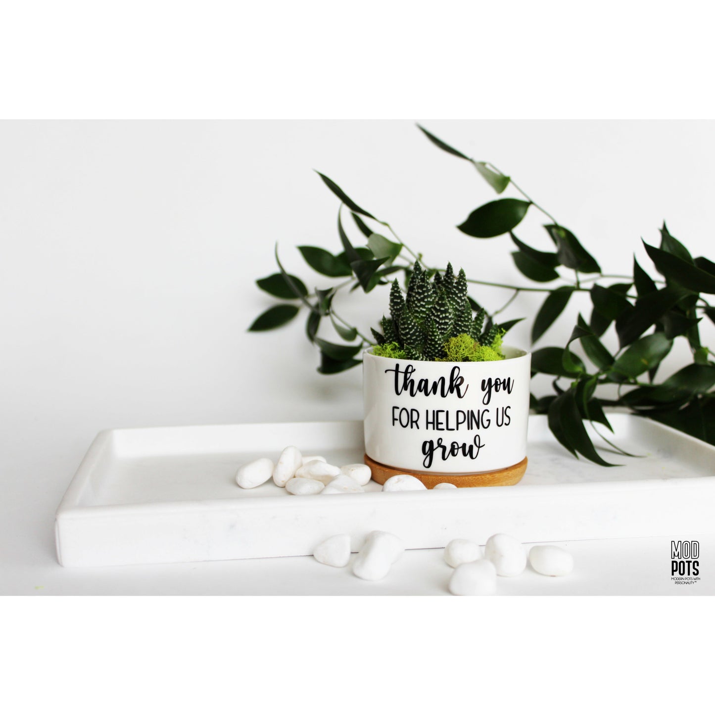 Thank You For Helping Us Grow