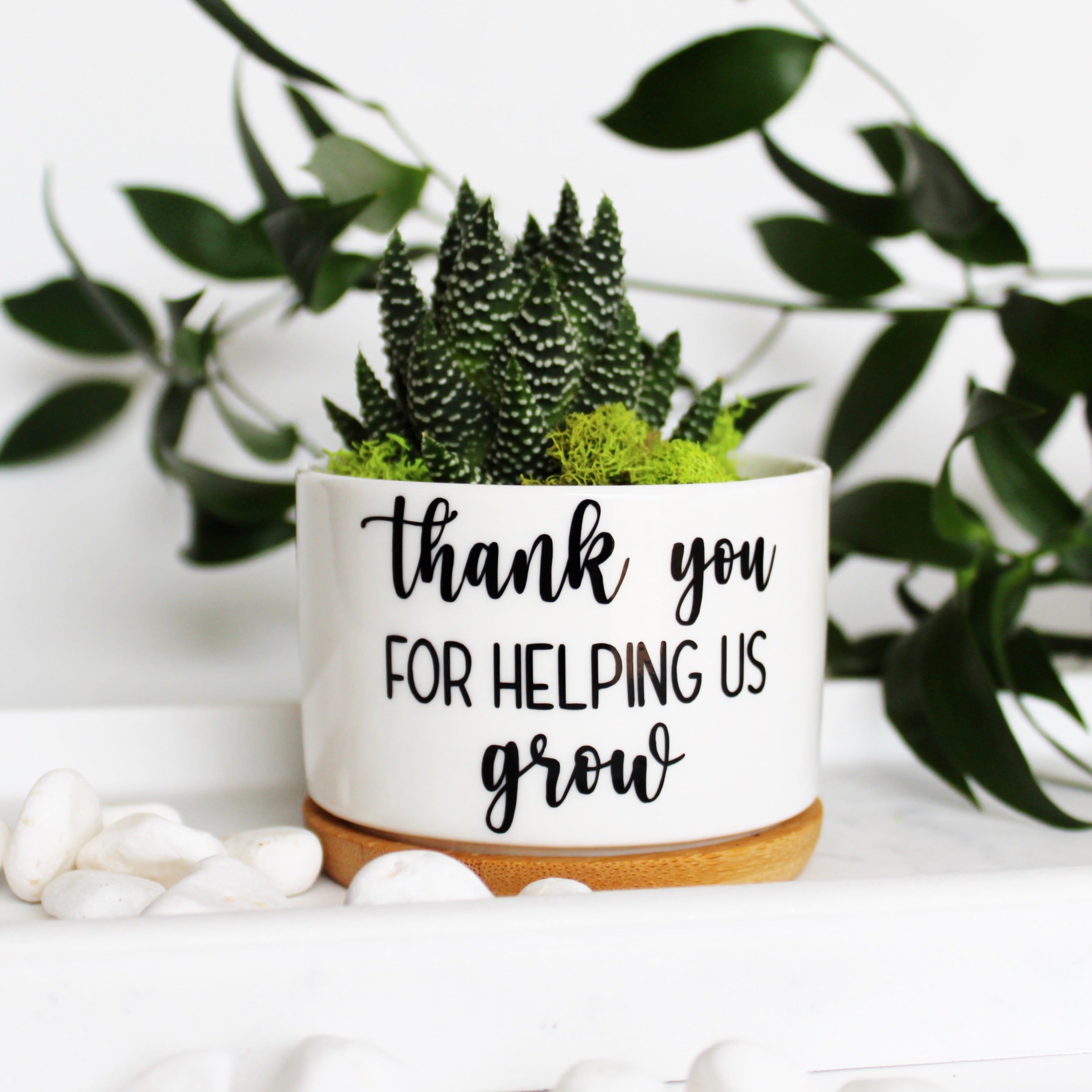 thanks for helping me grow succulent Thank You For Helping Us Grow – Mod Pots Shop