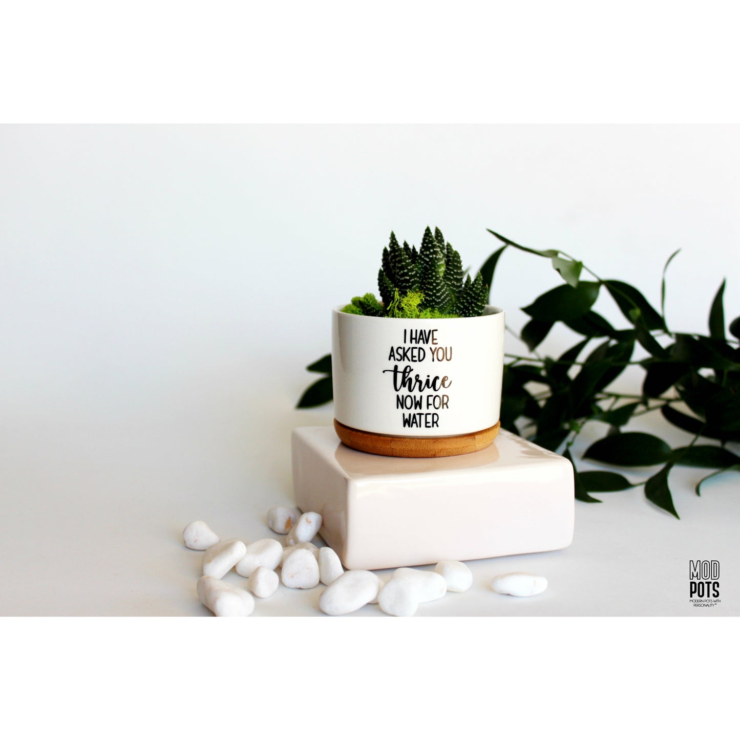 I Have Asked You Thrice Now for Water