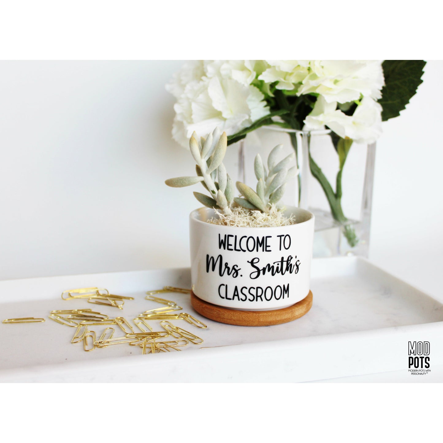 Welcome to (Teacher's Name)'s Classroom (personalizable)