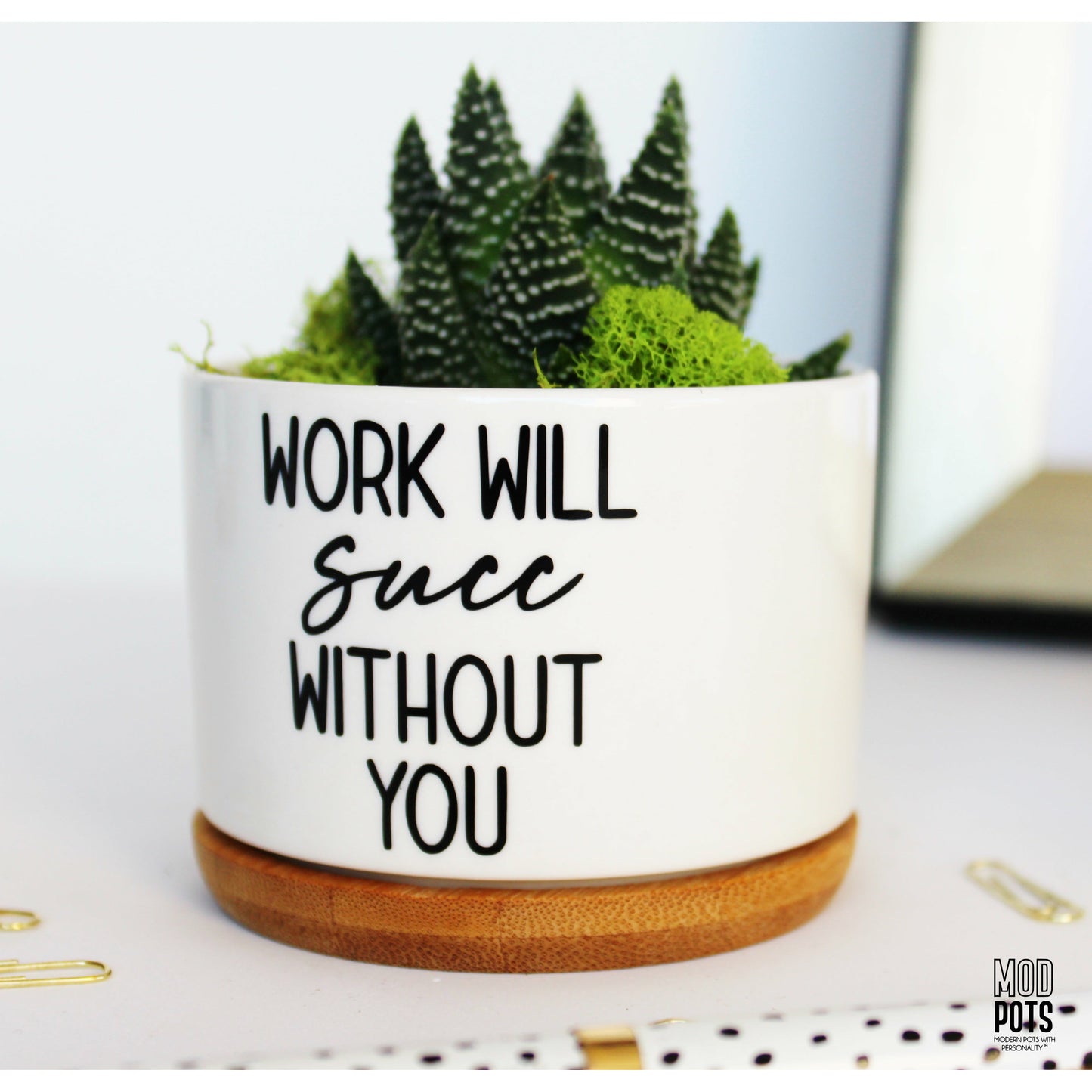 Work Will Succ Without You